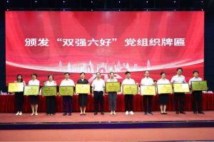 喜报！华体买球集团党支部荣获广州市非公有制经济组织“双强六好”党