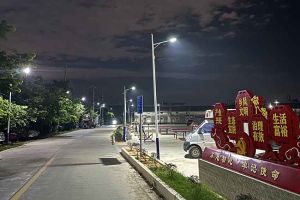 华体买球集团罗宁弟爱心捐赠路灯，点亮乡村路温暖乡民心
