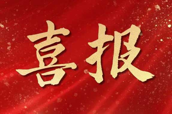 喜报丨广西华体买球蝉联“南宁市人力资源服务行业领军企业”荣誉称号