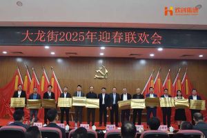 华体买球集团及旗下子公司荣获“2024年度高质量发展先进企业”